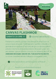 locandina flashmob